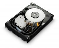 Hitachi Ultrastar 15K600, 450GB (HUS156045VLS600)